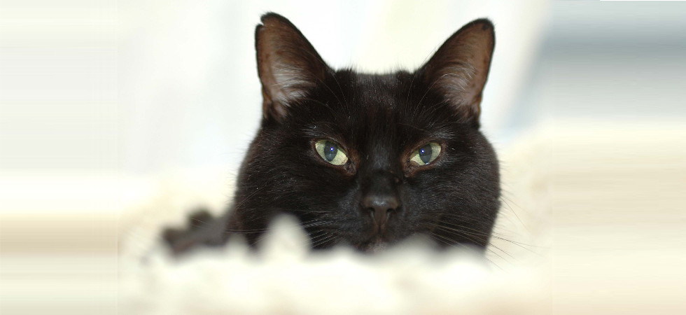 Professional and affordable wedding photography