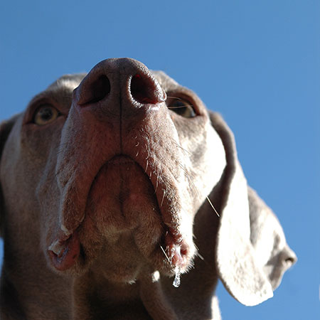 Professional and affordable wedding photography